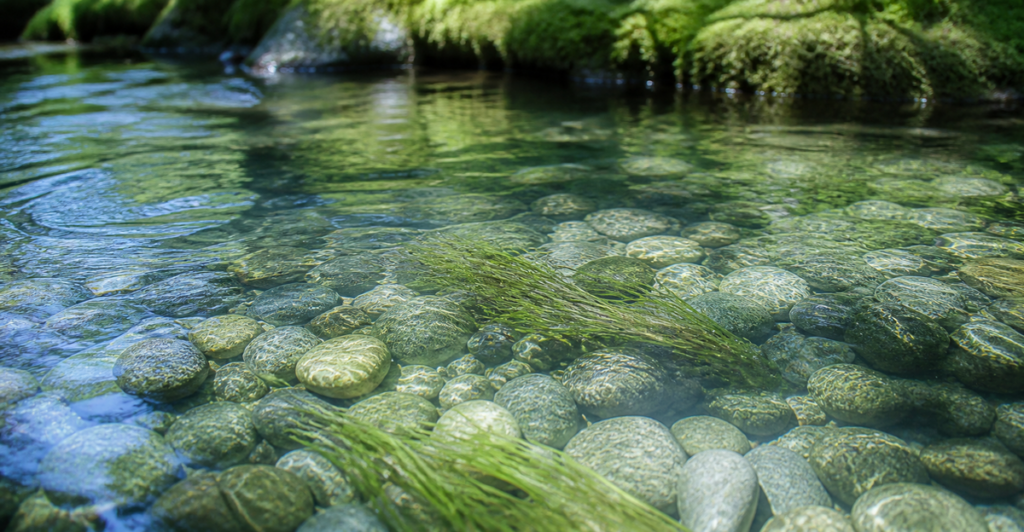 澄んだ浅い川の水が丸い小石の上を流れる様子のクローズアップ。水面の揺らぎが石に光の模様を落としている